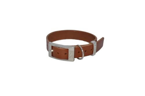 Collar para Perro BUB'S de Cuero Vacuno Origen Europa engrasado y ablandado, Tacto Suave y Alta Resistencia. Curticion Vegetal (Talla M Ajustable de 31 a 43 cm Ancho 25mm, Marron)