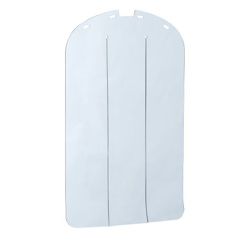 Ferplast Puerta para casetas de perros modelos DOGVILLA 110, Puerta para casetas de exterior para perros, PVC transparente contra la lluvia, el viento y el frío, 29,6 x 0,2 x h 46,9 cm