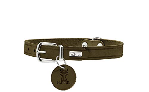 HUNTER Aalborg Collar para Perro de Piel, Simple, Resistente, cómodo, 42 S, Verde Oliva