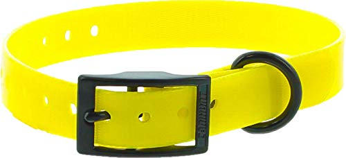 Collar Perro Amarillo Poliuretano 45 cm hebilla doble, gravable (ver las detalles)