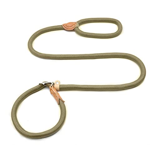 1 Pieza Perros Correa Antideslizante con Tope de Tracción Correa de Trenzada Suave y Duradera con Collar Correa Retriever Ajustable para Perros Pequeños, Medianos