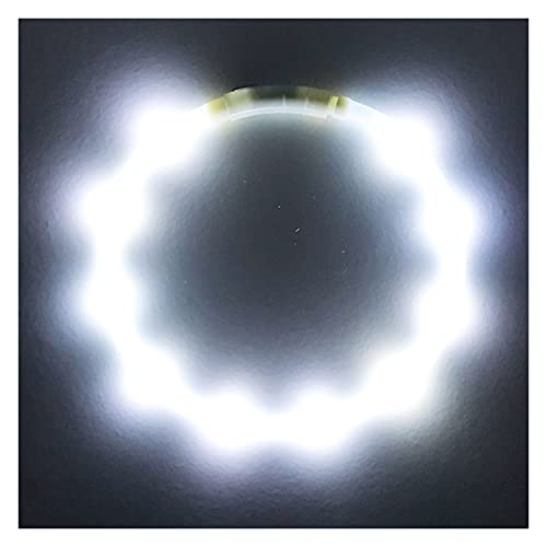 PetSol Collar de Perro LED Recargable Extra Brillante USB (Ajuste Universal Resistente a la Intemperie fácil de Limpiar Mejora la Visibilidad y Seguridad para su Perro) Una Talla para Todos Blanco