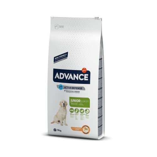 Advance Maxi Junior, Pienso para Perritos Junior (12 a 24 meses) de Razas Grandes con Pollo, 14kg