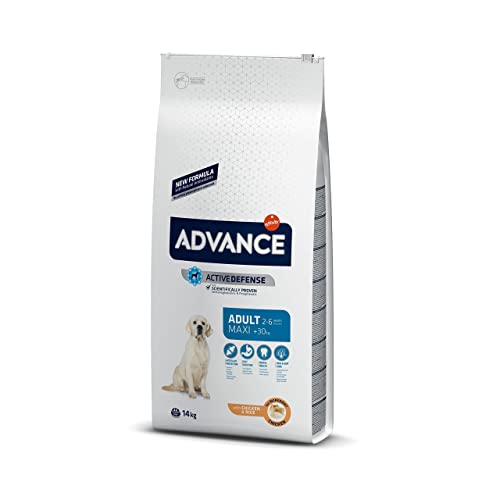 Advance Maxi Chicken, Pienso para Perros Adultos de Razas Grandes con Pollo, 14kg