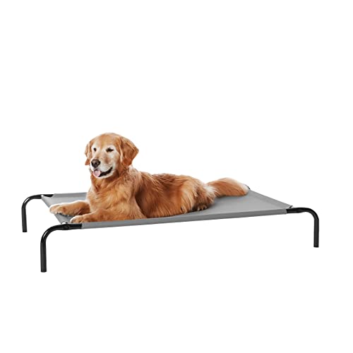 Amazon Basics - Cama elevada refrescante para mascotas, Grande, Gris