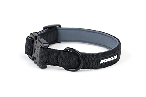 APEX DOG GEAR Collar Perro, Collar para Perro con Cierre metálico, Acolchado, Resistente y Ajustable - 2 Tallas Elegir - Talla M (30-40 cm / 2,5 cm de Ancho) - Color Negro