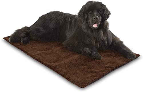 Bella & Balu Esterilla térmica para Mascotas (autocalentable) con paño de Microfibra para Limpiar Las Patas. Calefacción + Manta térmica Aislante con Funda para Perros y Gatos (Largo | 140 x 80 cm)