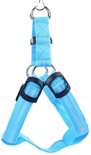 Ajustable Cómodo Chaleco Con Cinturón De Arnés Para Perro Para Correr Pasear Nylon Led Arnés De Cable Para Perro Mascota Gato Collar De Perro Arnés Chaleco Seguridad Ilumine Arnés De Cable-l_azul