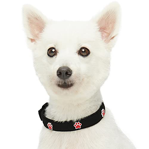 Amazon Brand - Umi Designer - Collar para Perros con Adorable Estampado de Huellas y Hebilla metálica L, Cuello 43-52 cm (Negro)