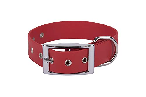 Francisco Romero 8436586340735 - Collar Biothane Beta, Rojo, 2,5cmx45cm, 1 unidad