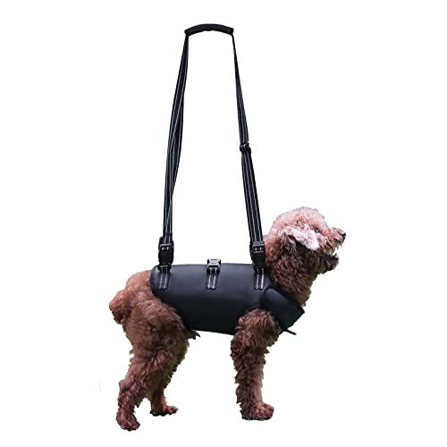 Arnés de Elevación para Perros, Soporte para Mascotas Y Rehabilitación. Correas Transpirables Acolchadas Ajustables para Personas Mayores, Discapacitadas Lesiones en Las Articulaciones (XS, Negro)