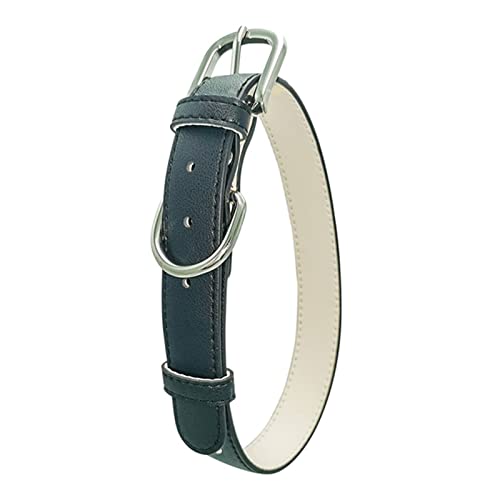 SANWOOD Collar sólido ajustable para perro, collar de perro a prueba de escapes, doble hebilla, cómoda circunferencia del cuello, ajustable, collar para perros pequeños, medianos y grandes,