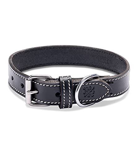 Collar de piel para perros – muy resistente y elegante collar de piel auténtica – Collar para perros pequeños y grandes (S (34 – 41 cm)