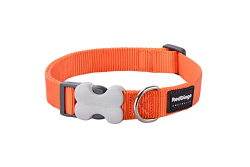 Red Dingo - Collar liso perro