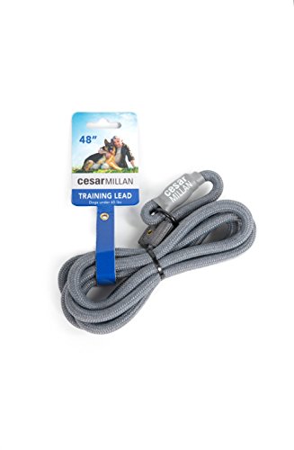 Cesar Millan Nylon Training Lead™ Correa de Entrenamiento para Perros - Collar y Correa 2 en 1 para Perros (Regular, Gris