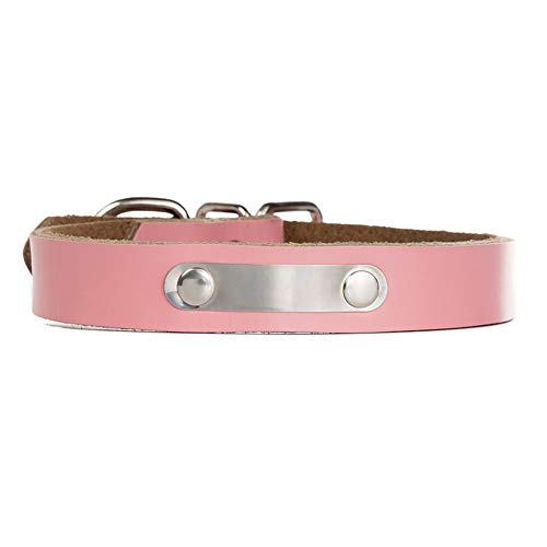 GUOCU 5 Pieza Collar Cuero PU Polipiel Espina Pinchos Punky Ajustable para Perro,Pink (5 Piezas),XL