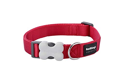 Red Dingo - Collar liso perro