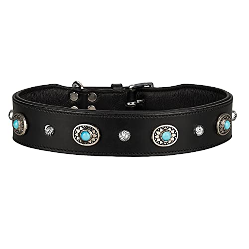 MICHUR Alonzo Collar de Cuero Grande para Perros, Collar de Cuero, Collar, Piedras Azules con RIVOS Redondos, Disponible en Varios tamaños, Collar Cuero