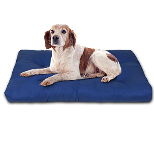 MERCURY TEXTIL –Cama para Mascotas, rellena de Espuma.Colchoneta Reversible Estampada, lo Ideal para Tus Mascotas. (Small, Azul)