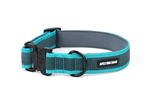 APEX DOG GEAR Collar Perro, Collar para Perro con Cierre metálico, Acolchado, Resistente y Ajustable - 2 Tallas Elegir - Talla L (41-65 cm / 3,8 cm de Ancho) - Color Turquesa