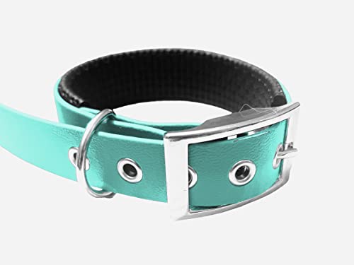 Collar para perro de material BioThane acolchado, ancho medio, color a elegir (contorno de cuello: 35-40 cm, teal)