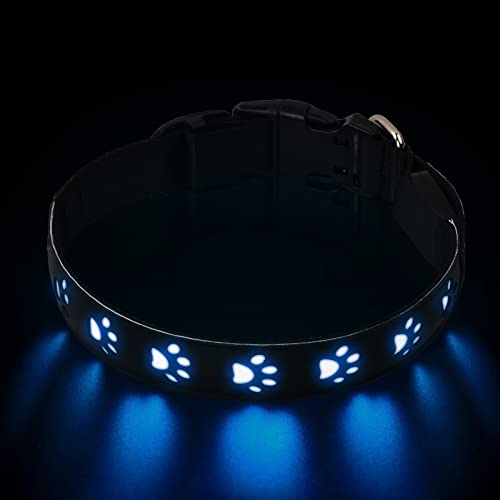 Focenat Collar Luminoso Perro, 6 Colores Collar Luz Perro, Recargable y Impermeable, 2 Modos de Iluminación Collar Led Perro, Ajustable Collares Luminosos para Perros Pequeños Medianos Grandes (S)