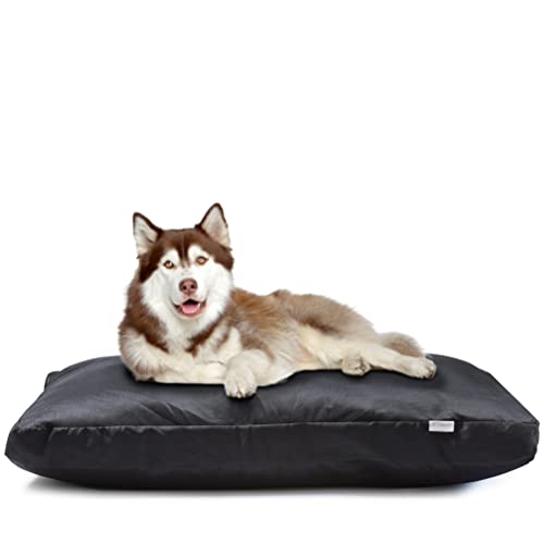 Flowen Cama Perro Grande 90x70 Fácil de Lavar con Funda Desenfundable Colchon Impermeable Antimordeduras y Antipelo Cojín Relajante Perro y Gatto de 10cm de Altura Ideal Verano e Invierno Negro