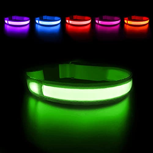 MASBRILL Collar Luminoso Perro de Mascota, 3 Modos Collar Perro Luz con Recargable y Impermeable, Ajustable Collares LED para Perros Pequeños/Medianos/Grandes(Verde S)