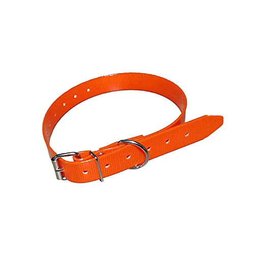 Collar para Perro en Poliuretano