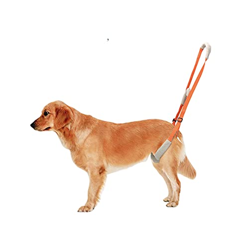 Arnés portátil para patas traseras, arnés de apoyo para la cadera para perros con asa, adecuado para actividades y perros mayores, cómodo, transpirable y fácil de ajustar