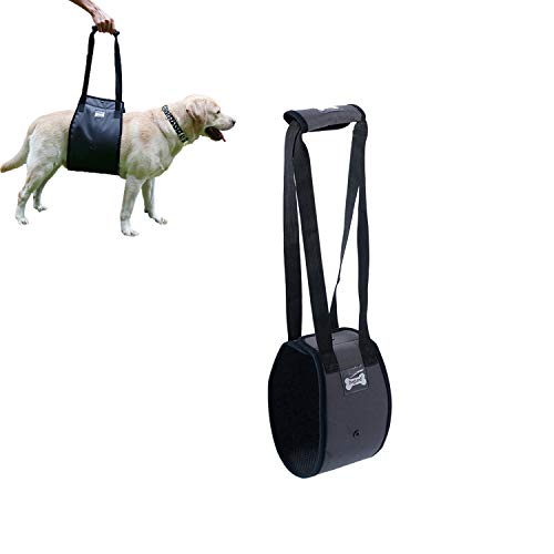 Tineer Arnés para Levantar Perros para Perros de Edad Avanzada o discapacitados - Soporte Sling Ayuda Posterior Piernas débiles Levántese, camine, suba escaleras (S, Gris)