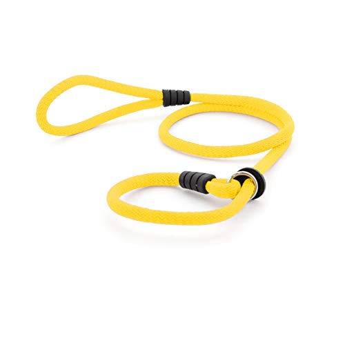 Correa de Perro para Adiestramiento - Correa de Entrenamiento para Perros Medianos y Grandes - Collar y Cuerda con Regulador - 150 cm x 12mm (Amarillo)