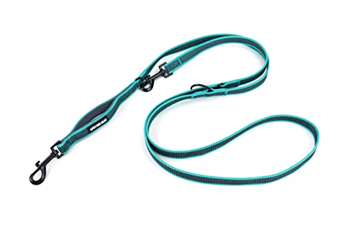 Correa para Perro Multiposición, Ajustable 3 Longitudes, con Asa Acolchada, Antideslizante, Resistente - 2,20 m - Turquesa - 5 Colores para Elegir