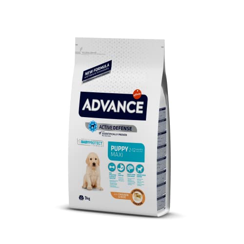 Advance Maxi Puppy, Pienso para Perritos Puppy (2 a 12 meses) de Razas Grandes con Pollo, 3kg