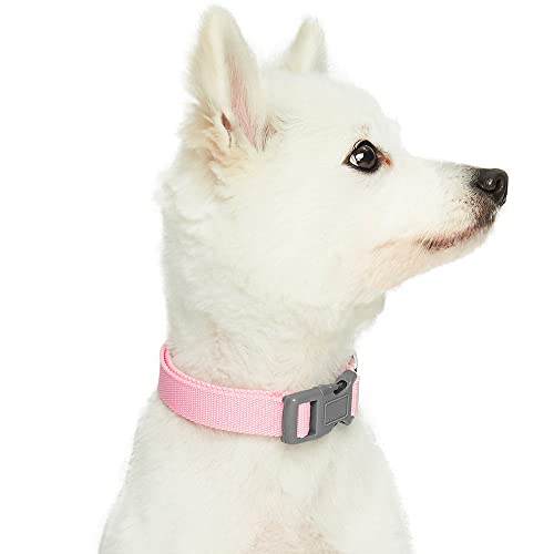 Amazon Brand - Umi Classic - Collar para Perros M, Cuello 37-50 cm, Collares Ajustables para Perros (Rosa)