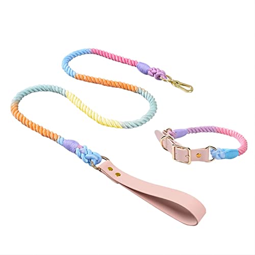 XIANGFAGS Correa Perro Correa Trenzada Colorida for Mascotas, Collar for Perros y Gatos, Cuerda de tracción, Collar Gradual de arcoíris Personalizado, Cadena cómoda