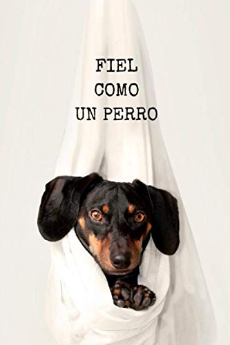 Fiel Como Un Perro: Este diario de salud y alojamiento de perros es perfecto para todos los amantes de los perros: Vigile la salud de su mascota ... dele todo el cuidado y el amor que se merece.