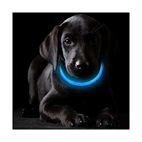 O³ PETS Collar Luminoso Perro Recargable – 3 Colores Disponibles Collar Adiestramiento USB Ajustable Recargable Impermeable LED (Azul)