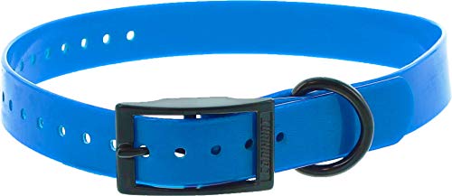 Collar Perro Azul poliuretano 60 cm hebilla doble, gravable (ver las detalles)