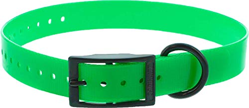 Collar Perro Verde Poliuretano 60 cm hebilla doble, gravable (ver las detalles)