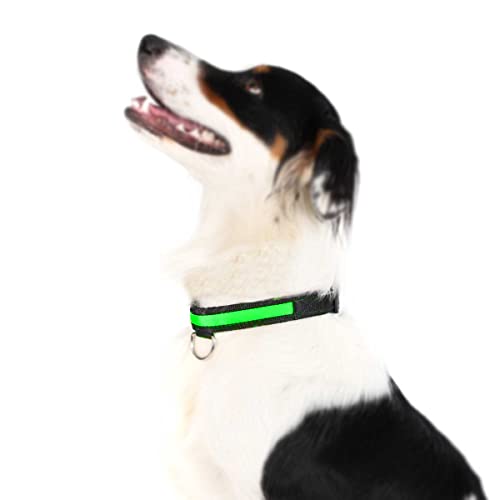 NIUCOM Collar Luminoso LED Perros de Nylon · Ideal para Paseos Nocturnos · Collares LED para tu Perro o Mascota · 3 Modos De Iluminación · Fácil De Desmontar y Limpiar (L, Verde)