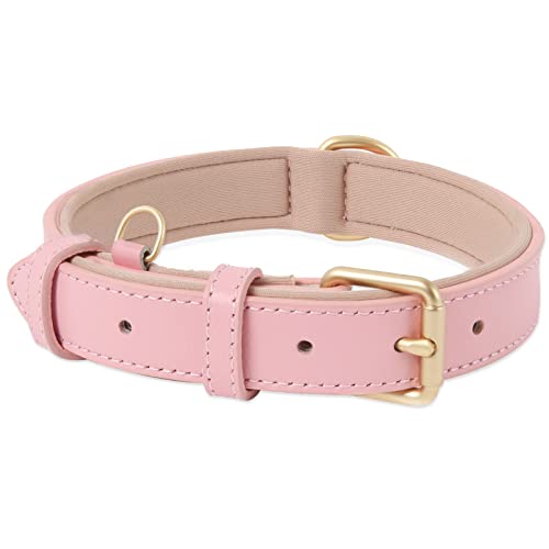 HEELE Collar Perro, Collar de Perro Acolchado de Cuero, Collar Suave en Cuero Genuino, Perros Pequeños, Medianos y Grandes, Rosa, M