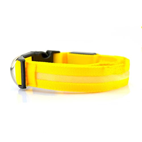 BIWOND Collar Mascotas LED Talla L Amarillo