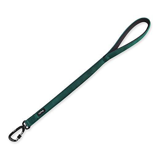 Correa Corta Resistente de 61 cm de Longitud con asa cómoda y Correa de Aluminio de aviación Ligera para Perros Grandes y medianos. (Verde Oscuro)