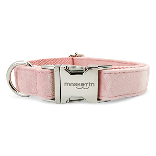 Collar para Perro pequeño y Mediano. Diseño Moderno (Pinky, M)