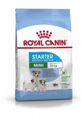 Royal Canin Mini Starter Alimento Seco para Madres y Cachorros de Razas Pequeñas, 3 kg