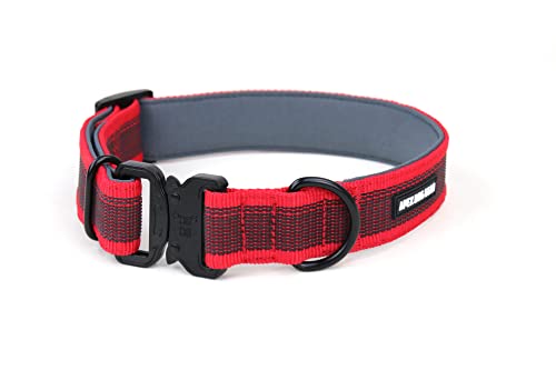 APEX DOG GEAR Collar Perro, Collar para Perro con Cierre metálico, Acolchado, Resistente y Ajustable - 2 Tallas Elegir - Talla L (41-65 cm / 3,8 cm de Ancho) - Color Rojo