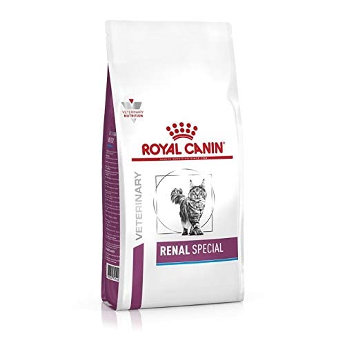 Royal Canin Renal Special dieta para gatos