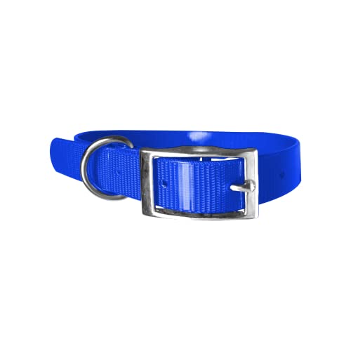 Biothane Gold - Collar para perro (2,5 cm de ancho, longitud a elegir), muy resistente (60 cm, azul 101)