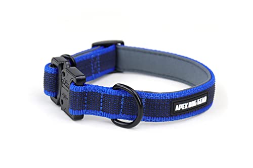 APEX DOG GEAR Collar Perro, Collar para Perro con Cierre metálico, Acolchado, Resistente y Ajustable - 2 Tallas Elegir - Talla M (30-40 cm / 2,5 cm de Ancho) - Color Azul